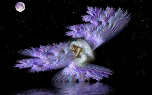 Bonne Soirée et Douce Nuit xx